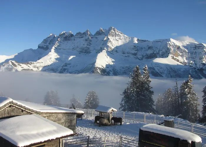 Hotel-restaurant Le Relais Panoramique Mini-hôtel Les Crosets