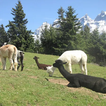 Gasthof Hotel-Restaurant Le Relais Panoramique 3*